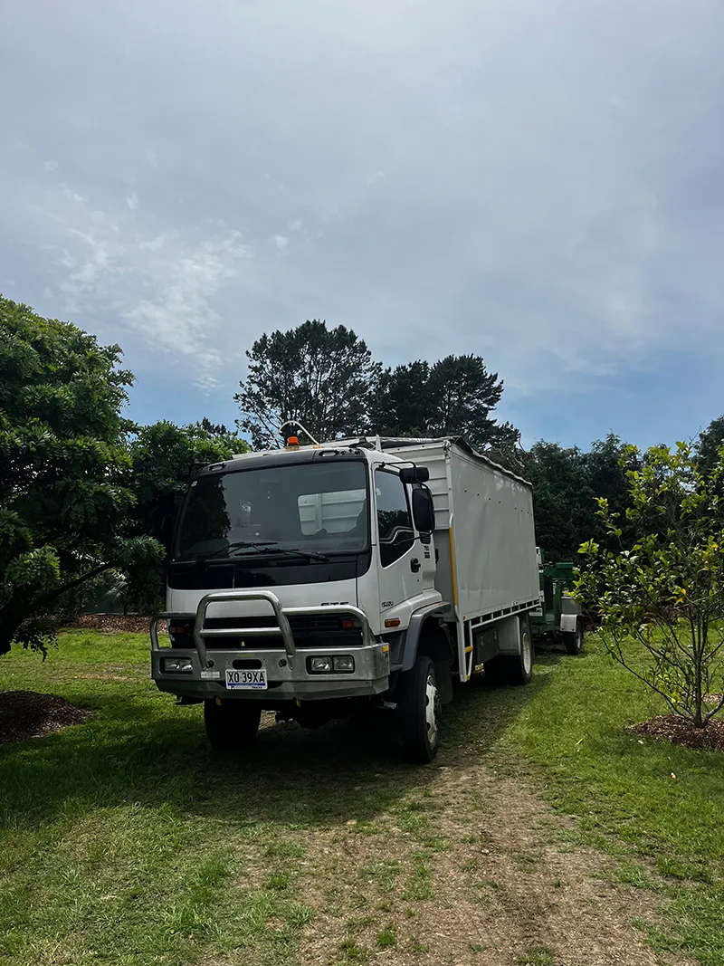 Emergency Tree Services Central Coast - Coastal Trees - Central Coast ...